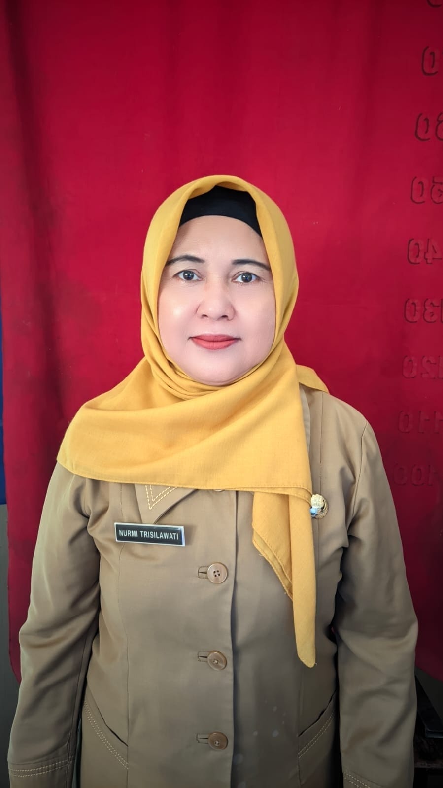 NURMI TRISILAWATI, S.Sos
